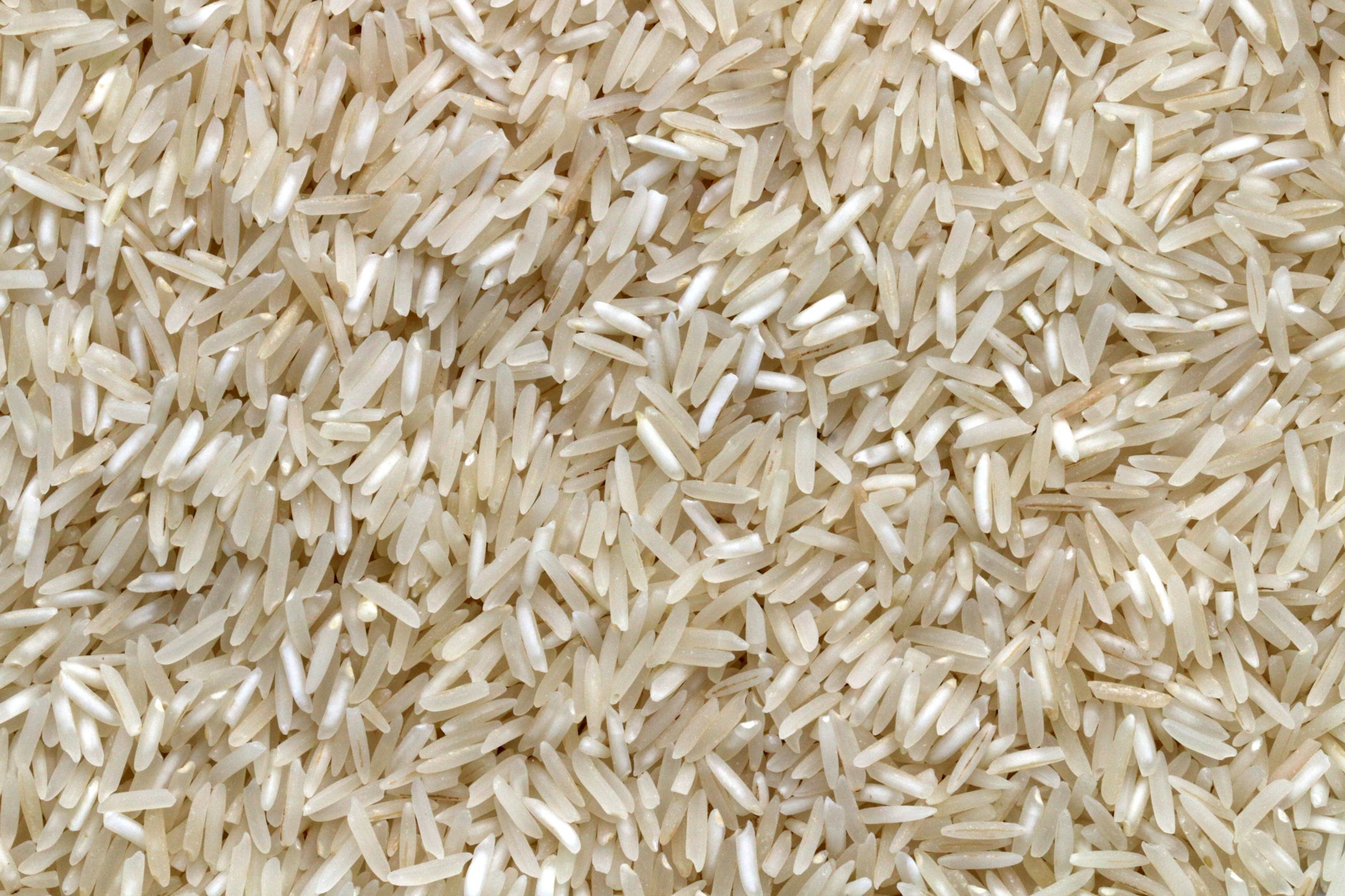 Basmati Rice Supplier Abu Dhabi - Sona Masoori Rice Wholesale UAE Premium Rice Distributors